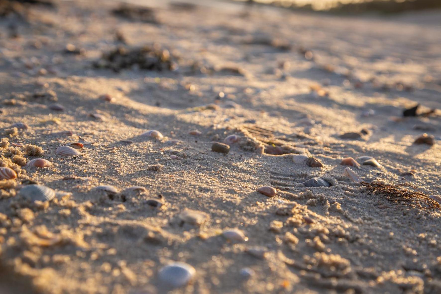 Wohnen Am Suedstrand - Ferienwohnung 0 4 Wyk auf Foehr Luaran gambar